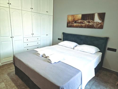 Zenozy luxury apartments
