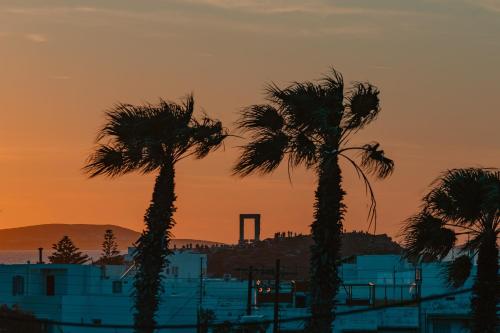 Hibiscus Suite Naxos