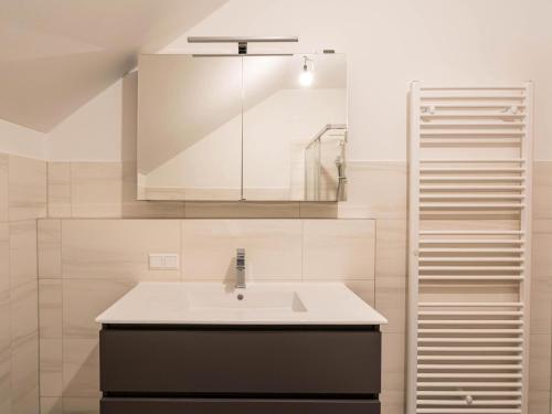 a bathroom with a sink and a mirror at Murleben Top 09 in Stadl an der Mur