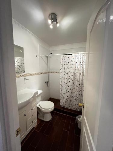 a bathroom with a sink and a toilet and a shower at Hospedaje la Florentina in Pica