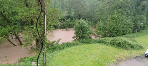 une vue aérienne d'une cour inondée avec des arbres dans l'établissement Corps de chasse, à La Celle-sous-Gouzon