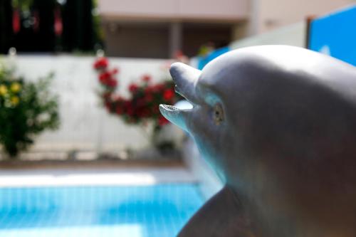 Bazén v ubytování Hotel Miorelli nebo v jeho okolí