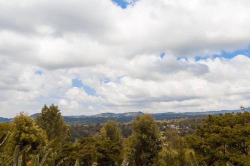 a group of trees with a cloudy sky in the background at Marangu Serenity Homes in Marangu