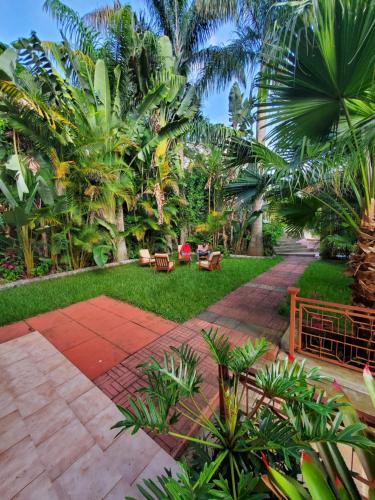 a garden with palm trees and a brick walkway at Marangu Serenity Homes in Marangu