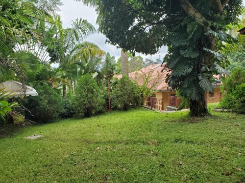 a yard in front of a house at Marangu Serenity Homes in Marangu
