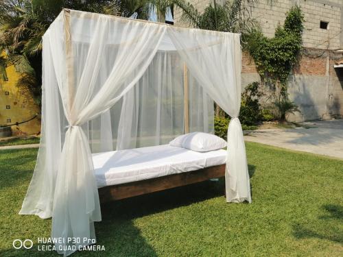 Κήπος έξω από το Casa Amor'e