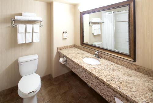 Ένα μπάνιο στο Holiday Inn Express Hotel & Suites Edson by IHG