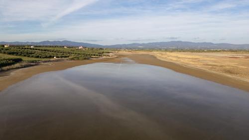 an aerial view of a river with a bunch of trees at Flamingo Living Halkidiki - The Villas in Áyios Mámas