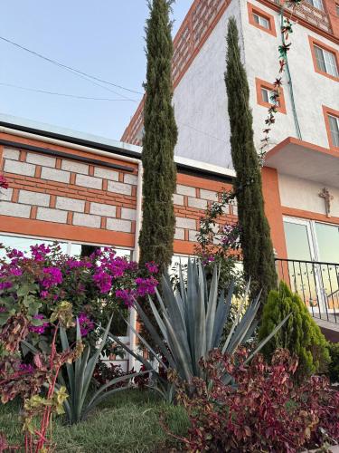 Un jardín fuera de Hotel La C