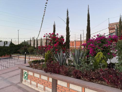 Un jardín fuera de Hotel La C