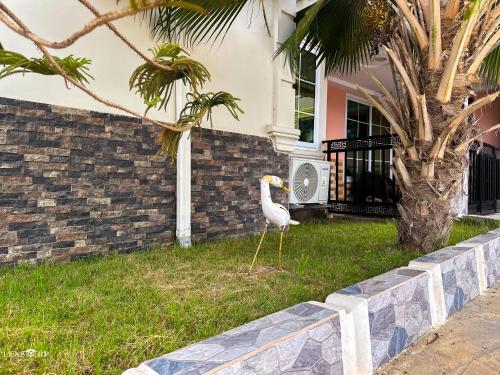a pelican standing in the grass next to a house at Lexsarp Apartments in Tema