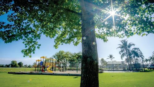 a park with a playground and a tree at Moruya Holiday Park in Moruya