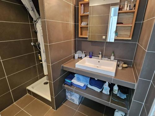 une salle de bain avec un lavabo et une douche dans l'établissement Appartement 3 chambres proche mer, terrasse sud - FR-1-768-120, à La Garonnette-Plage