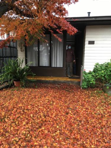 Κήπος έξω από το Rubi 1