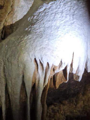 Gambar di galeri bagi L'Oustalet Des Gorges d'Ardèche Wifi et Canal Plus di Saint-Remèze