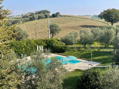 Πισίνα στο ή κοντά στο Amazing apartment in Belvedere Ostrense with garden