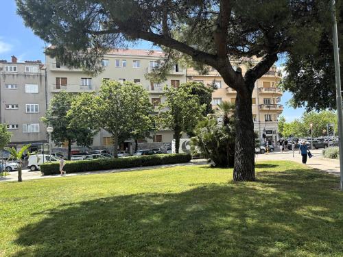 Suite Stay at 4 Apartment & Rooms