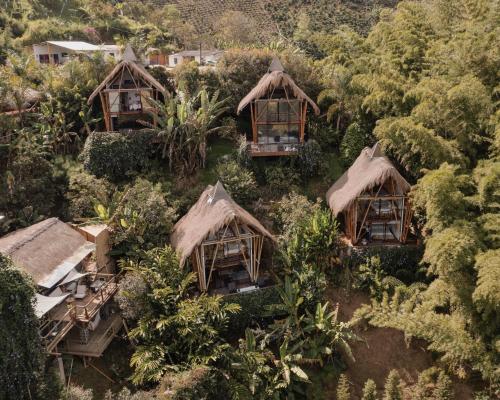 an overhead view of a group of huts in a forest at Ibuku Hotel Guatapé - Chalets in Guatapé