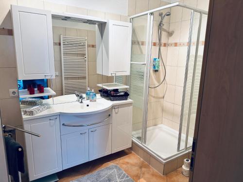 a bathroom with a sink and a shower at DG City-Apartment in Spremberg