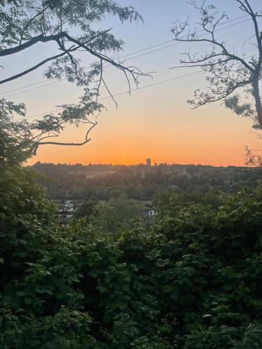 a sunset over the city from the forest at Old school Bacedasco B&B in Vernasca