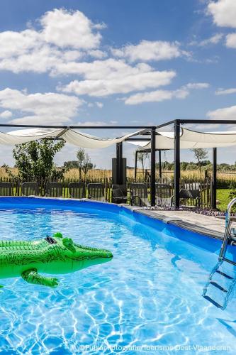 a crocodile in the water in a swimming pool at Op 't Roth 12 ruime sfeervolle vakantiewoning in 't groen in Oudenaarde