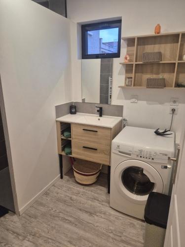 une petite salle de bains avec un lave-linge et un lavabo dans l'établissement Maison La Praline, à Arnas