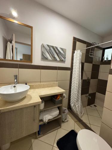 Un baño con lavabo, ducha e inodoro. en Charming Nook Second Floor Condo With Rooftop, en Coco