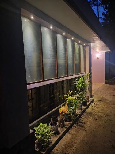 a group of potted plants on the side of a building at Kowdi Farm House in Eramalloor