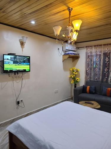 Appartement Ndjongue tesisinde bir televizyon ve/veya eğlence merkezi