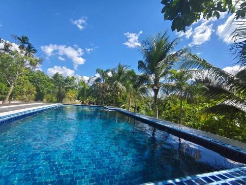 a swimming pool with blue water and palm trees at นาธาริเวอร์ไซด์ in Ban Lamphu La (3)