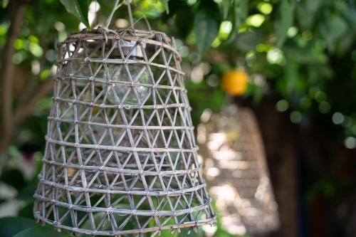 a bird cage hanging from a tree at Casa Scala in Acireale