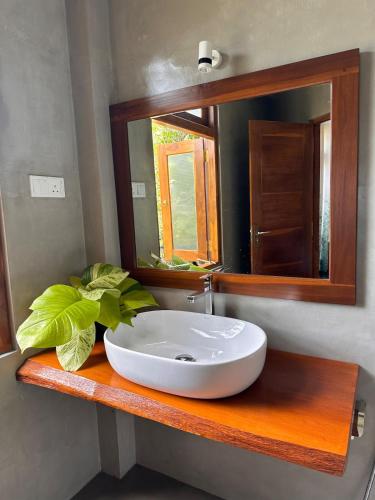 a bathroom sink with a mirror and a plant on a counter at Romantic Jungle Hideaway in Tangalle