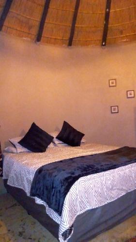 a bed with black pillows on it in a room at Sabali in Rietfontein