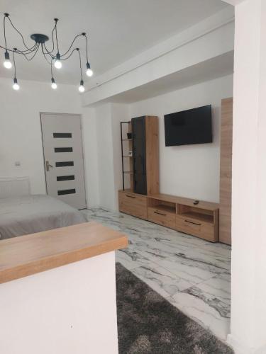 克拉约瓦The Secret Studios 2的一间卧室，墙上有一张床和一台电视