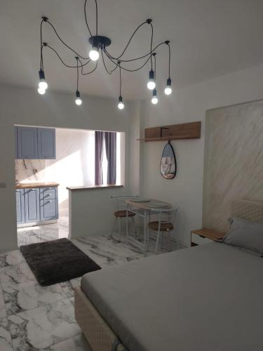 克拉约瓦The Secret Studios 2的一间带床的卧室和一间带桌子的厨房