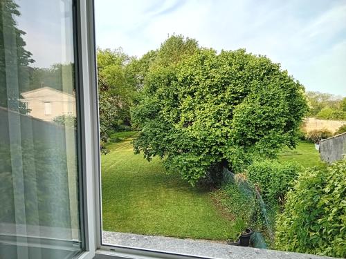 a window with a view of a tree at La Villa Camille in La Creche