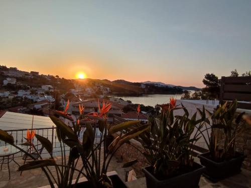 Gallery image of Villa Nina Adult only in Skiathos Town