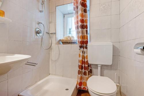 a bathroom with a toilet and a sink and a shower at Mittermüllerhof Feldthurns in Velturno