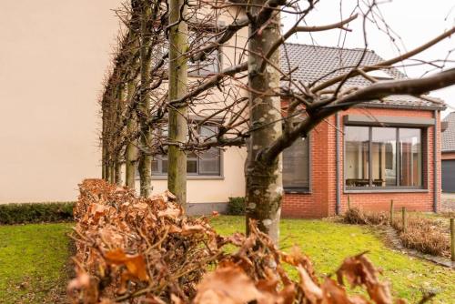 a group of trees in front of a house at 14 beds, 20p, 2 bath-, 1 livingroom in Houthalen-Helchteren
