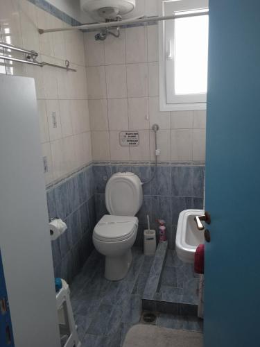 a bathroom with a toilet and a sink at Hotel Fotini in Kamena Vourla