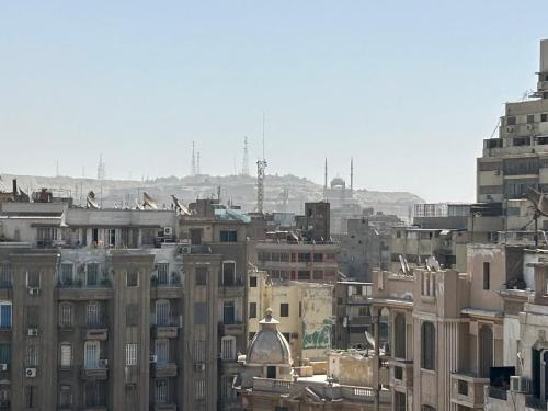 Urban oasis - near Tahrir Square