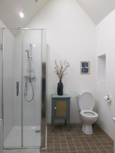 une salle de bain avec toilettes et douche en verre dans l'établissement L'abri du guindy, à Plouguiel