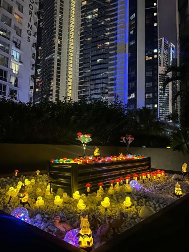 a flower garden in the middle of a city at night at Tiki Hotel Apartments Surfers Paradise in Gold Coast