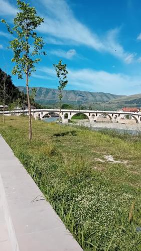 a tree in a field next to a bridge at Villa Rexho in Berat
