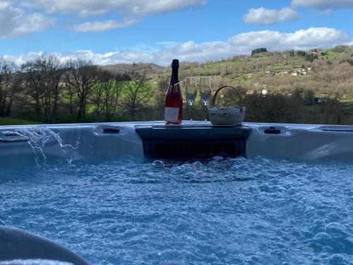 - une bouteille de vin dans la piscine d'eau dans l'établissement Renovated house with hot tub, gîte de la vicairie Nouvelle-Aquitaine, à Lagleygeolle