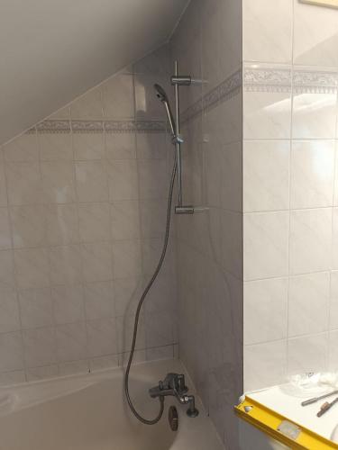 La salle de bains est pourvue d'une douche et d'un robinet. dans l'établissement L’Orme • Duplex central au bord du canal, à Annecy