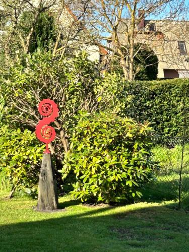 a red flower on a tree stump in the grass at Sonnenblume in Zingst