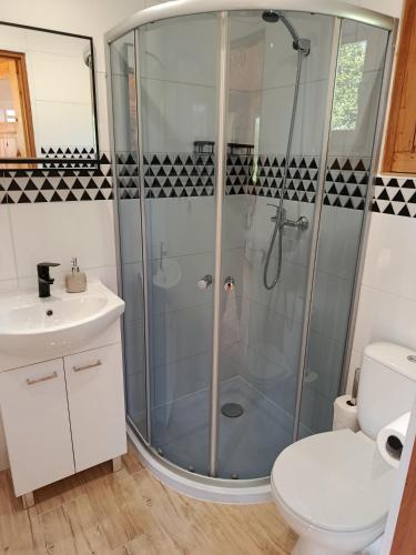 a bathroom with a shower with a sink and a toilet at Domek letniskowy Radomice in Wleń