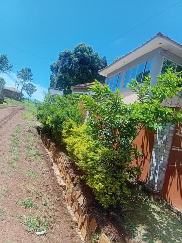a house with bushes next to a dirt road at Pacific Cottages and Guest House Jinja in Jinja