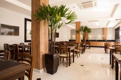 un restaurante con mesas, sillas y palmeras en Hotel Grand Barão, en São Paulo